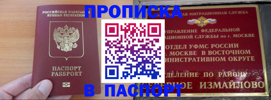 прописка в Купино